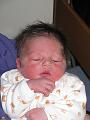 Yente 1 maart 2009  (12)